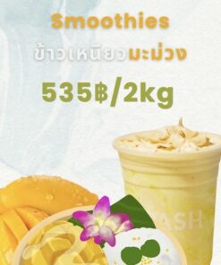PASH MANGO STICKY RICE SMOOTHIE CUBES 2KG